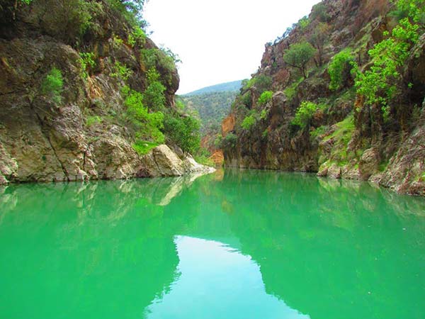 تنگِ دم اسب تنگِ دم اسب